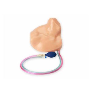Gen II Ultrasound Central Line Training Model Replacement Tissue Insert with Refill Solutions